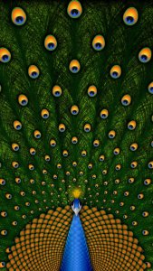 Peacock-iphone-6-wallpaper.jpg