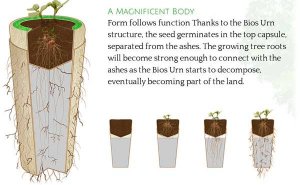 Bios-Urn-Diagram-600-e1507025188880.jpg