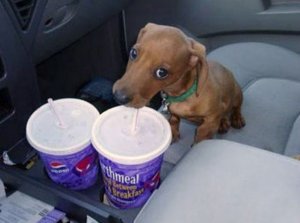 Drinking @.jpg