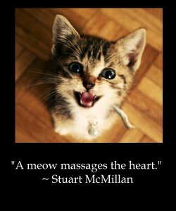 meow_massage.jpg