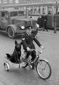 Police @.jpg