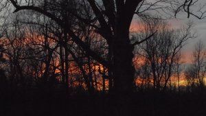 DSC02582.JPG