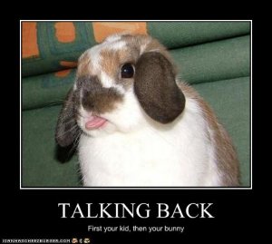 your-bunny-talks-back.jpg