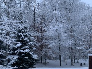 830307E2-15BA-4637-99AB-175CF01B7807.jpeg