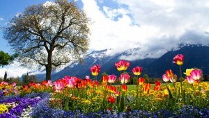 Spring5.jpg
