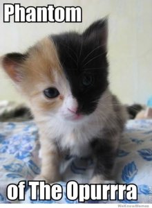 phantom-of-the-opurrra-cat.jpg