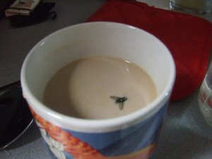 DSCF4568.JPG