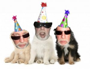 dogs birthday.jpg