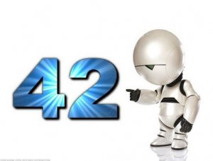 42.JPG