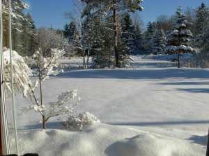 DSCN1374.jpg