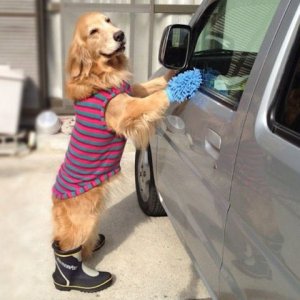 Valeting @.jpg