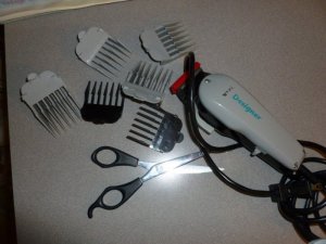 clippers (1024x768).jpg