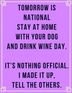 dogwineday.jpg