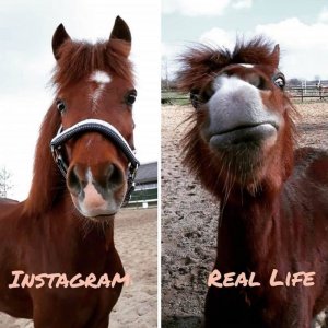 instagram.jpg