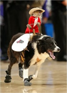 MONKEY COWBOY.jpg