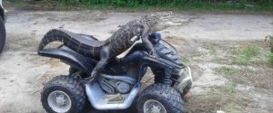 florida-12.jpg