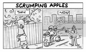 law-order-scrumping-apples-grab_and_snatch-thief-theft-tcrn2200_low.jpg