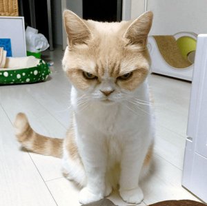 Frowning @.jpg