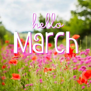 marchhello.jpg