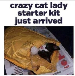 cat lady.jpg