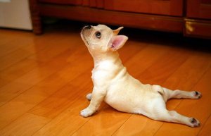 Excercise @.jpg