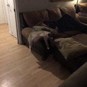 melted.jpg