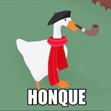 honque.jpg