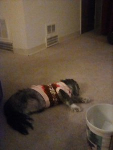 IMG_20200303_200748.jpg