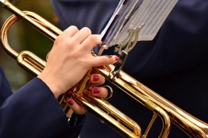 trumpet-3303724_960_720 - Copy - Copy.jpg