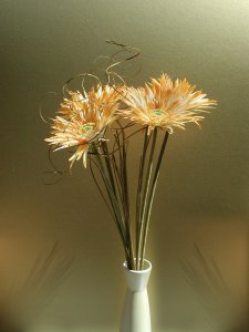 flowers-1539920_960_720.jpg