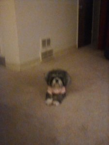 IMG_20200304_002459.jpg