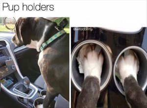 pup holders1.jpg