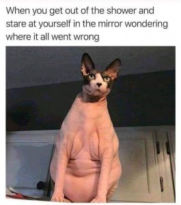 wrong.jpg