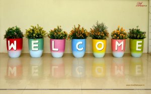 Colorful-Pots-And-Plant-Welcome-Images1.jpg