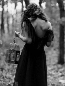 bw birdcage i m 3.jpg