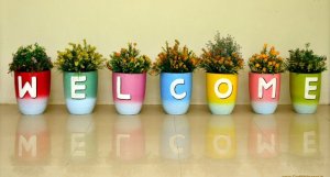 Colorful-Pots-And-Plant-Welcome-Images1_1.jpg