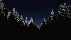 cold-1866597_960_720.jpg