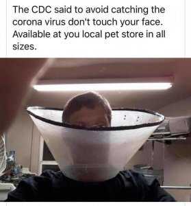 87813278_3063822040335355_6474860509517578240_n.jpg