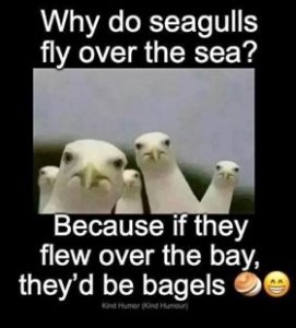 8760E7EA-53AA-4F29-87A9-26F853E30FAA.jpeg