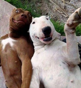 Selfie @.jpg