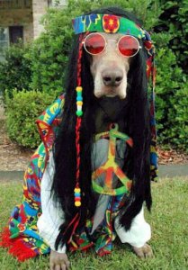 Hippy @.jpg