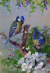 8.gif