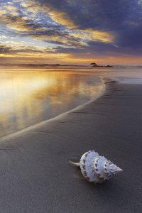 391b2ddd9a8ce6f4cff3088e8a59fdc0 - Copy.jpg