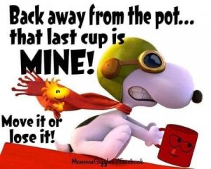 A2A91358-F6D2-493C-98F1-977BFA9EE2D8.jpeg