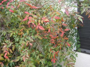 IMG_8997.JPG