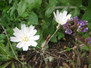 IMG_8999.JPG