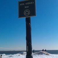 Image result for Sedaka Way street sign