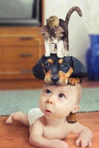 Child-With-Animals-Hat-Funny-Picture.jpg