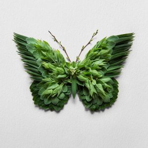 green2.jpg