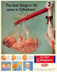 Cellophane @.jpg